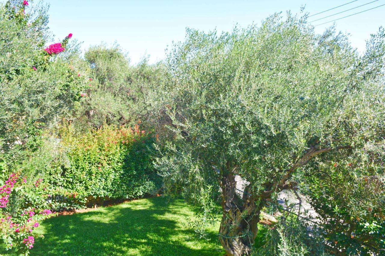 Pebbles And Sea At Barbati With Shared Pool Apartment Exterior foto